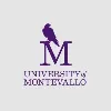 University of Montevallo