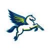 Dallas Wings Dallas Wings