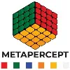 Metapercept Technology Services Metapercept Technology Services