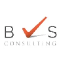 BVS CONSULTING