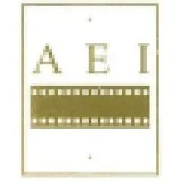 American Entertainment Investors, Inc.