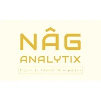 NAG ANALYTIX LLC