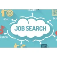 Job search