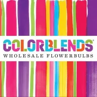 Colorblends Wholesale Flowerbulbs