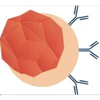 Queensland Anaesthetic Reaction Clinic