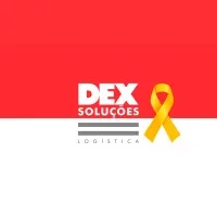 Dex Soluções Logísticas