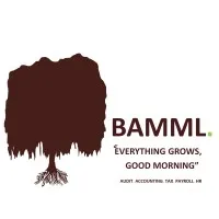 BAMML  INC