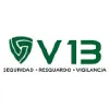 V13 Seguridad V13 Seguridad
