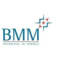 BMM ISPAT LTD.