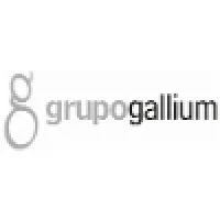 Gallium Group Gallium Group