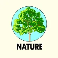 Nature For Engineering Consultancy