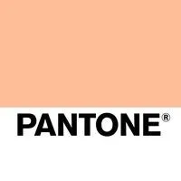 Pantone India