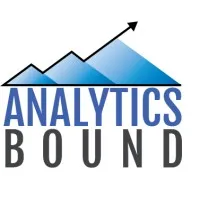 Analytics Bound LLC Analytics Bound LLC