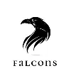 Falcons Beyond Imagination Falcons Beyond Imagination