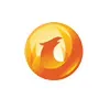Phoenix Systems
