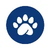 Pandapé LATAM Pandapé LATAM