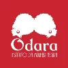 Odara - Instituto da Mulher Negra Odara - Instituto da Mulher Negra