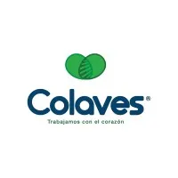 COLAVES COLAVES