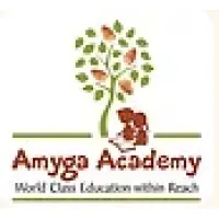 Amyga Foundation