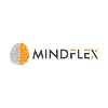 Mindflex Mindflex