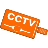 CCTV Security Surveillance