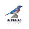 Bluebird Aviation