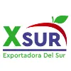 XSUR