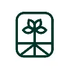 Tanalink Tanalink