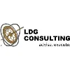 LDG Consulting LDG Consulting