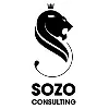 SOZO CONSULTING SOZO CONSULTING