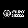 Grupo SiCOSS Grupo SiCOSS