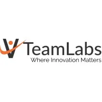 VTeamLabs LLC VTeamLabs LLC
