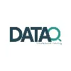 Data Quality for Professional Consulting