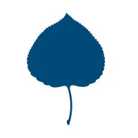 Aspen Institute Germany