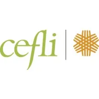 The Compliance and Ethics Forum for Life Insurers (CEFLI) The Compliance and Ethics Forum for Life Insurers (CEFLI)