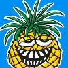 PINEAPPLE WILLY'S. INC. PINEAPPLE WILLY'S. INC.