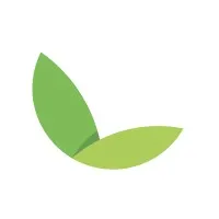 Loam Studios Loam Studios