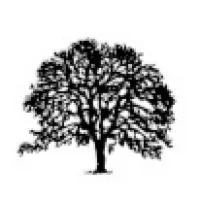 Custom Graphics Plus LLC