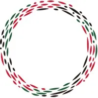 Rei Foundation Limited