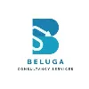 Beluga Consultancy Services Private Limited