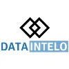 DATAINTELO (O) DATAINTELO (O)