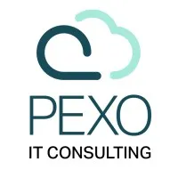 Pexo IT Solution LTD.