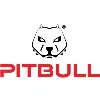 Pitbull Energy Services Pitbull Energy Services