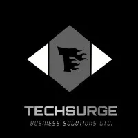 TechSurge Business Solutions