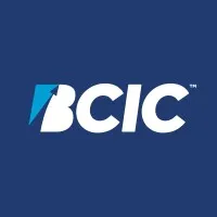 Brownsville Community Improvement Corporation (BCIC)