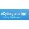 eCybergurus Inc eCybergurus Inc