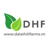 DHF Platforms