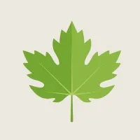 Sycamore Associates LLC Sycamore Associates LLC