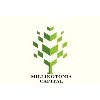 Millingtonia Capital Millingtonia Capital