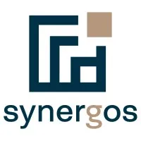 SYNERGOS | Global management consulting